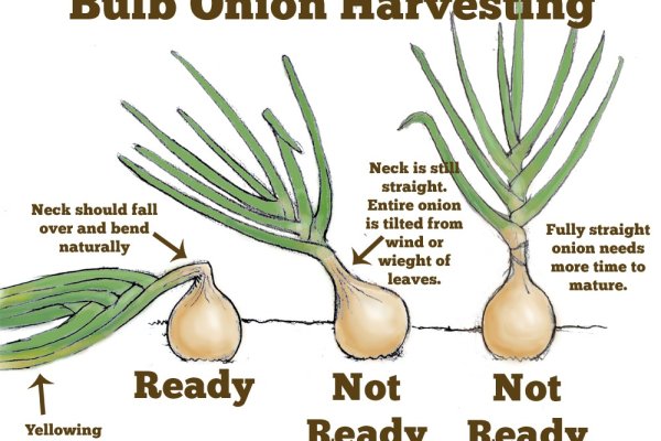 Профессиональные инструменты через krab2 cc