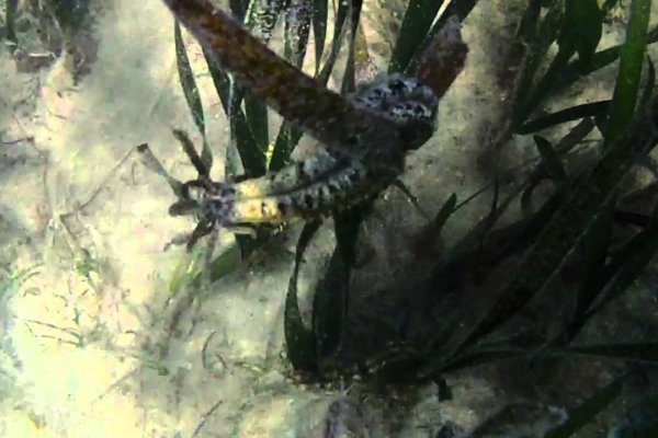 Как зайти на kra48.cc