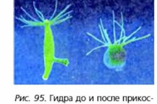 Кракен сайт что